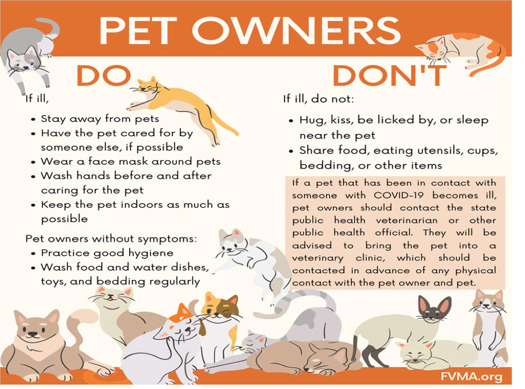 Pet Owners Do''s and Don''ts for Corona Virus | COVID-19